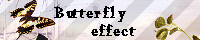 Butterfly@Effect