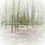 PlyPetit
